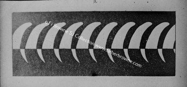 COPY NEG SCIENTIFIC DIAGRAM